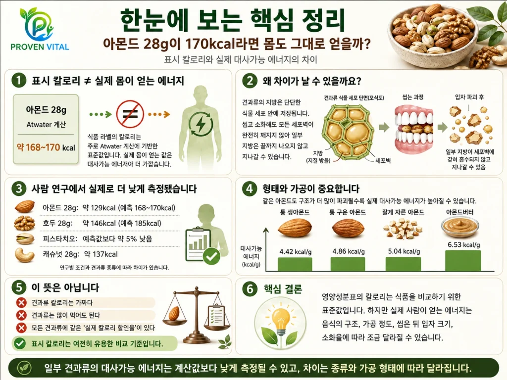 견과류의 표시 칼로리와 실제 대사가능 에너지 차이를 정리한 인포그래픽