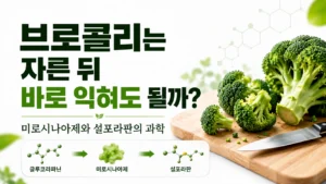브로콜리를 자른 뒤 글루코라파닌과 미로시나아제가 반응해 설포라판 형성으로 이어질 수 있는 과정을 표현한 대표이미지