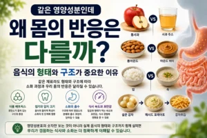 같은 영양성분이라도 음식의 형태와 구조에 따라 소화 과정과 몸의 반응이 달라질 수 있음을 보여주는 이미지