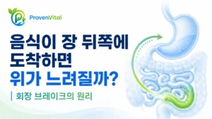 소장의 뒤쪽인 회장에 영양소가 도달하면 위 배출과 위장관 움직임이 조절될 수 있는 회장 브레이크의 원리를 표현한 이미지