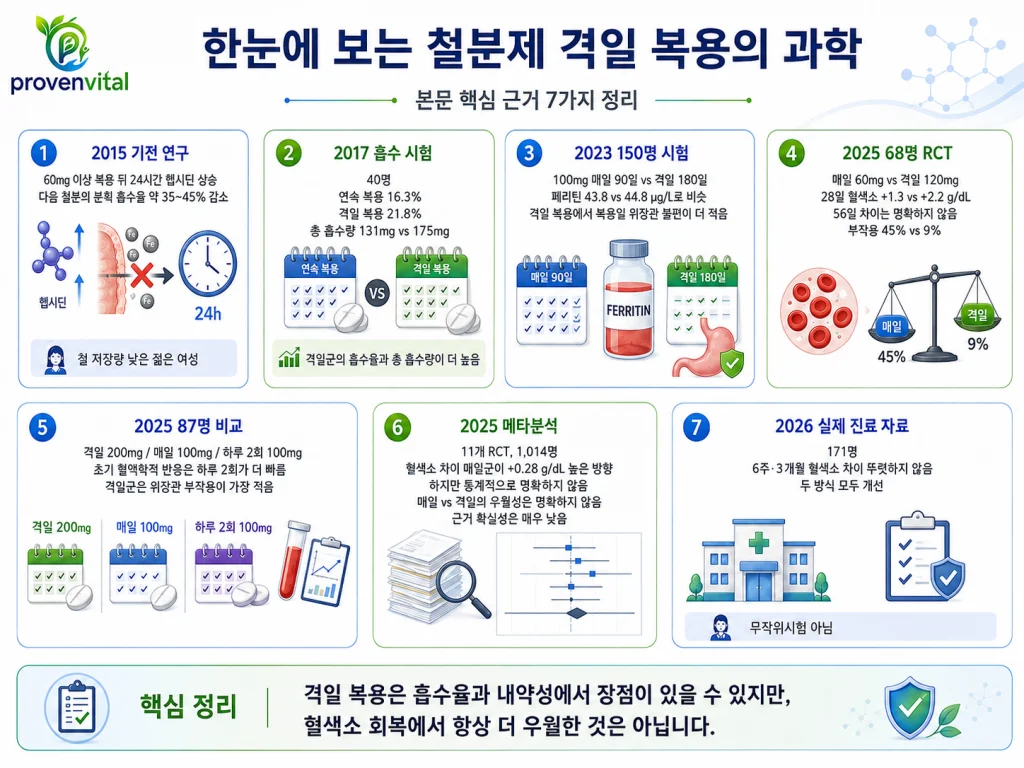 철분제 격일 복용에 관한 사람 대상 연구 7가지 핵심 근거를 정리한 인포그래픽