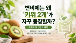 키위 두 개와 장 일러스트가 함께 배치된 키위와 변비 연구 대표이미지