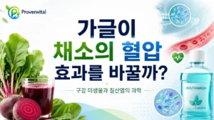 비트와 잎채소, 구강 미생물, 혈관, 가글을 통해 질산염과 혈압의 관계를 표현한 대표 이미지