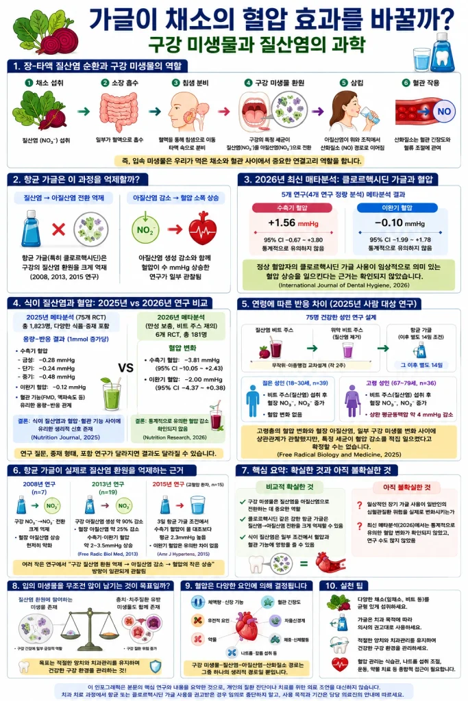 채소의 질산염이 구강 미생물과 아질산염·산화질소 경로를 거치는 과정과 가글 및 혈압 연구 결과를 정리한 인포그래픽