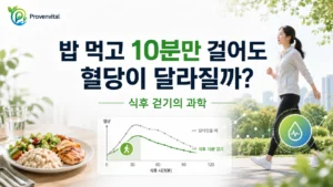 식사 후 10분 걷기와 식후 혈당 반응의 관계를 표현한 대표 이미지