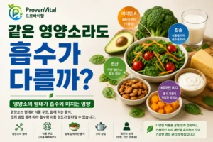 같은 영양소라도 형태와 식품에 따라 흡수와 이용 정도가 달라질 수 있음을 보여주는 이미지