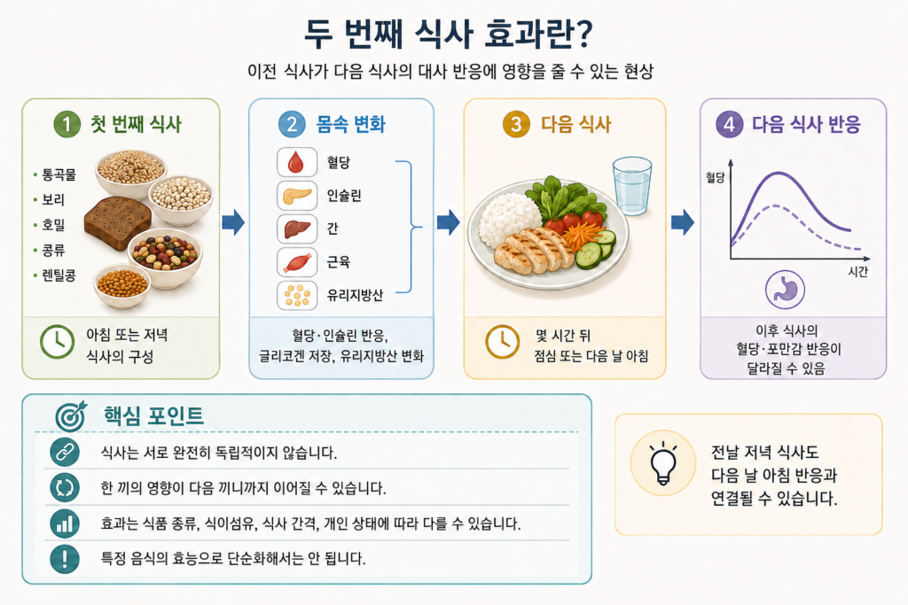 첫 번째 식사 후 대사 변화가 다음 식사의 혈당과 포만감 반응에 연결될 수 있음을 설명한 두 번째 식사 효과 인포그래픽