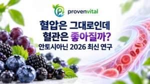 안토시아닌과 혈관 내피기능의 최신 사람 대상 연구를 다룬 대표 이미지