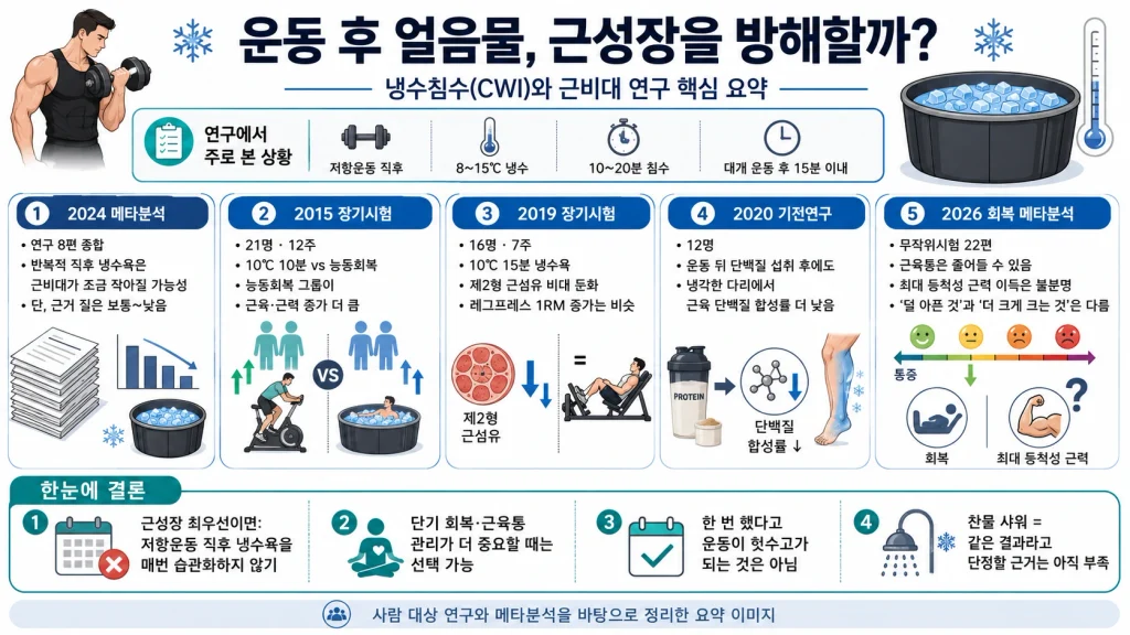 운동 후 냉수침수가 근비대 근력 회복 근육통에 미치는 연구 결과를 정리한 인포그래픽