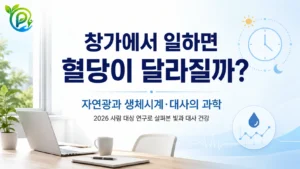 창가 자연광과 혈당·생체시계의 관계를 다룬 대표 이미지