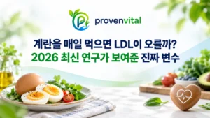 계란 섭취와 LDL 콜레스테롤의 관계를 다룬 2026 최신 연구 대표 이미지