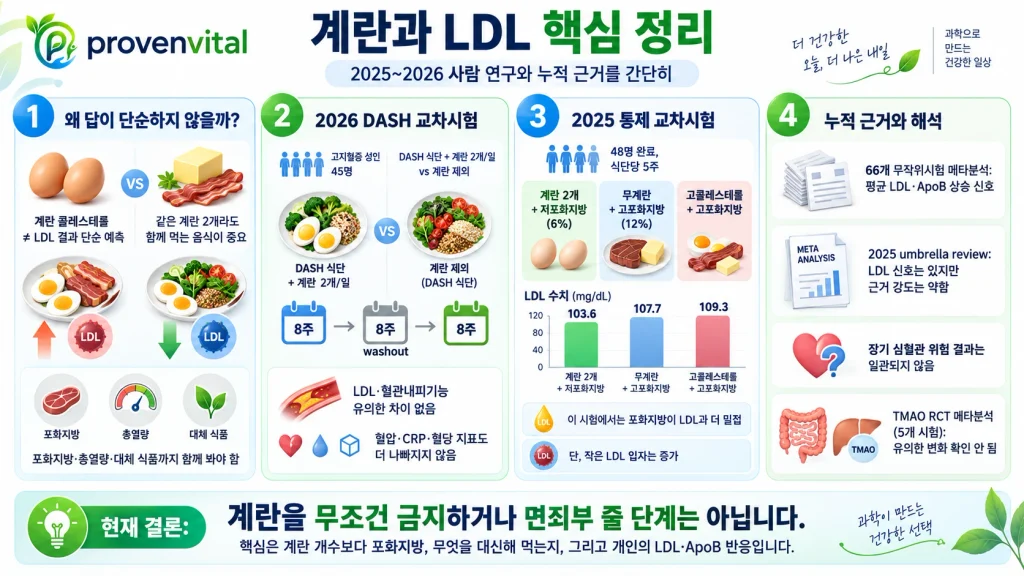 계란 섭취와 LDL 콜레스테롤에 관한 사람 연구 결과를 정리한 인포그래픽