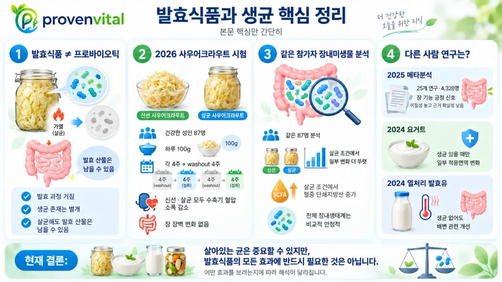 발효식품과 프로바이오틱의 차이, 생·살균 사우어크라우트 시험, 장내미생물과 요거트·열처리 발효유 연구를 정리한 인포그래픽