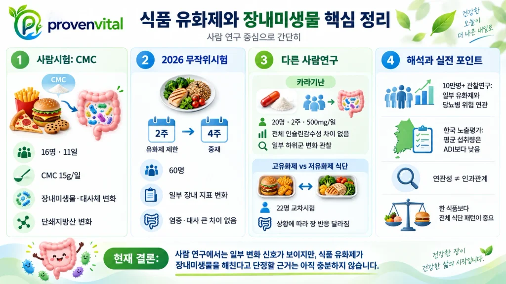 CMC 시험, 2026년 무작위시험, 카라기난 연구, 한국인 유화제 노출평가를 정리한 식품 유화제와 장내미생물 인포그래픽