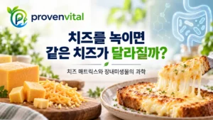 녹이지 않은 체다치즈와 녹인 치즈를 함께 보여주는 치즈 매트릭스와 장내미생물 대표 이미지