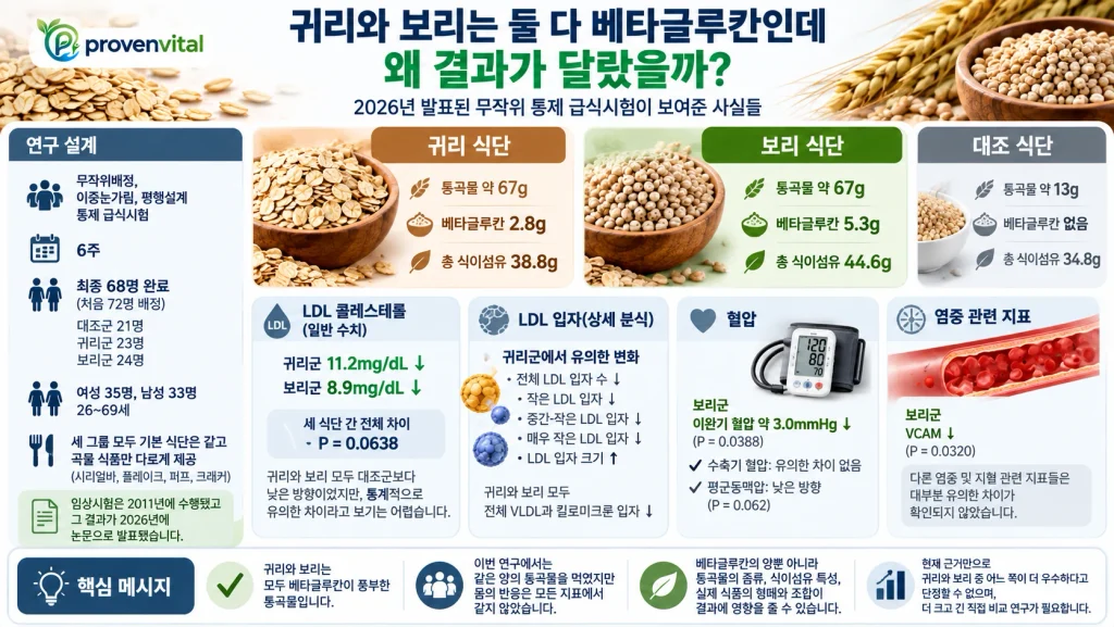 귀리와 보리 베타글루칸의 LDL 콜레스테롤과 혈압 변화를 비교한 6주 연구 인포그래픽