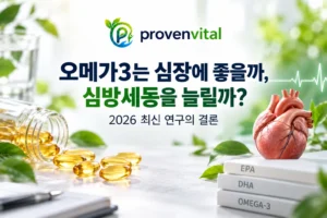 오메가3 보충제와 심장 이미지를 활용한 오메가3 심방세동 최신 연구 대표 이미지