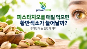 피스타치오와 루테인, 황반색소 및 눈 건강의 관계를 표현한 대표 이미지