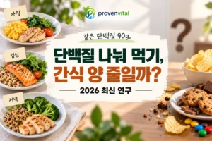 아침 점심 저녁 단백질 식사와 간식을 함께 보여주는 단백질 분배와 간식 섭취 연구 대표 이미지