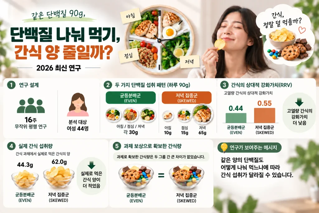 하루 단백질 90g을 세 끼에 고르게 먹거나 저녁에 집중했을 때 간식 섭취를 비교한 연구 인포그래픽