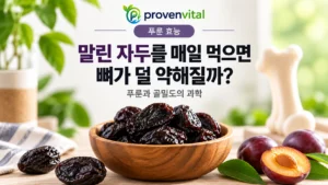 말린 자두와 푸룬, 뼈 모형을 함께 배치해 푸룬과 골밀도의 관계를 표현한 대표 이미지