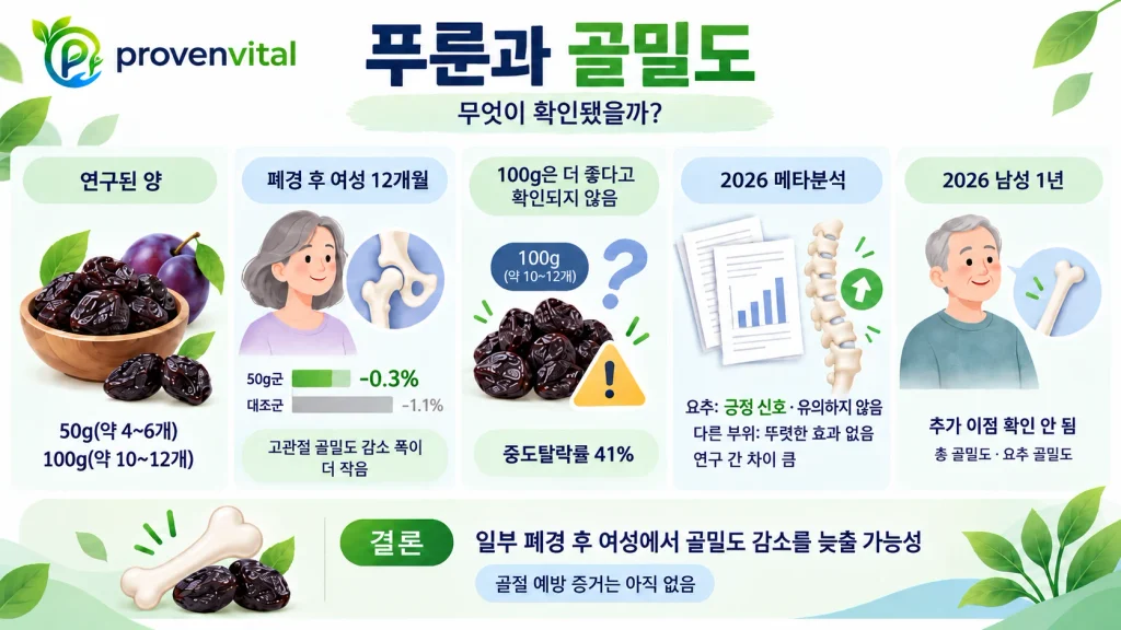 푸룬 섭취량과 폐경 후 여성 및 남성의 골밀도 연구 결과를 정리한 인포그래픽