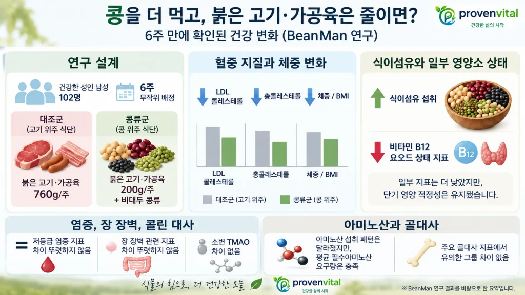 붉은 고기와 가공육 일부를 콩류로 바꾼 6주 BeanMan 연구의 LDL 콜레스테롤과 영양 상태 결과 인포그래픽
