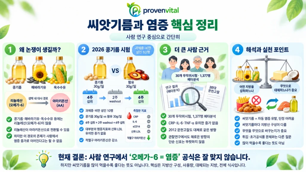 씨앗기름과 리놀레산의 염증 관련 사람 연구 결과를 정리한 인포그래픽