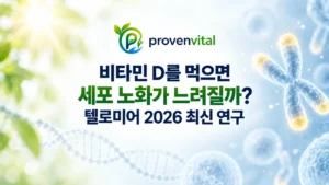 비타민 D와 텔로미어, 세포 노화의 관계를 다룬 2026 최신 연구 대표이미지
